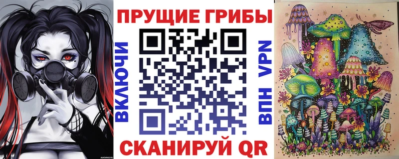 Купить  Порхов  Галлюциногенные грибы прущие грибы 